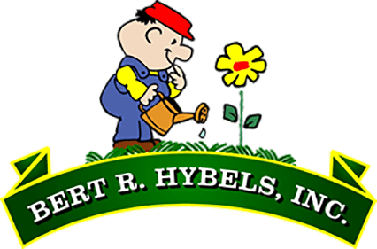 HIBELS Logo